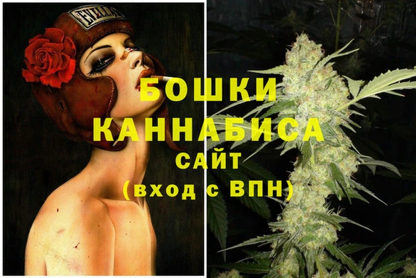 амф Няндома