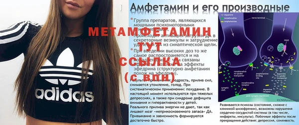 ГАЛЛЮЦИНОГЕННЫЕ ГРИБЫ Осташков