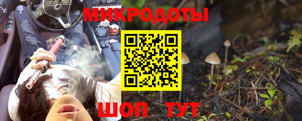 Галлюциногенные грибы ЛСД  Псилоцибиновые грибы Psilocybe  Элиста  Вход с VPN 
